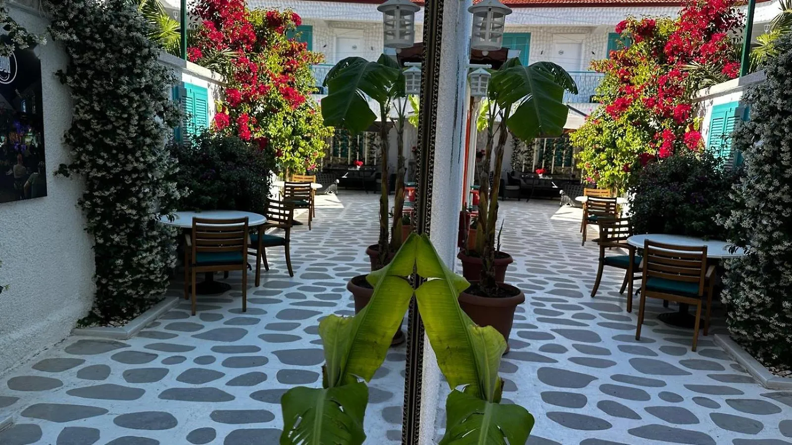 Privatunterkunft Lotus City Sigacik Butik Otel Türkei